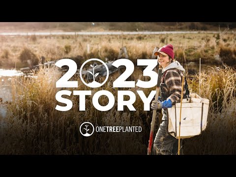 Our 2023 Global Reforestation Impact | One Tree Planted