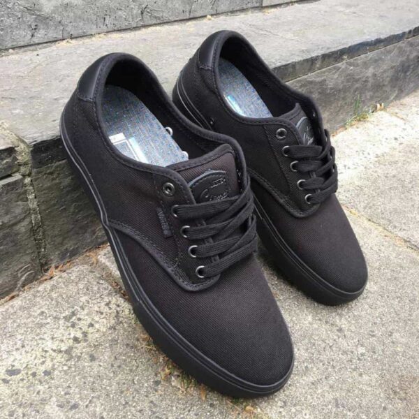 vans alternative shoes