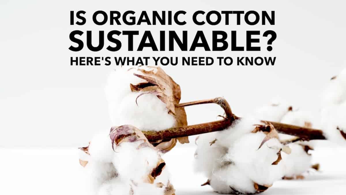 Is Organic Cotton Sustainable? Here's What You Need to Know